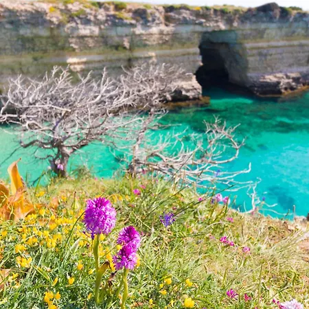 Apartamento Frida In Salento